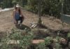 Hacer un huerto urbano ecológico Parades en crestall huerto urbano _ portada