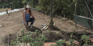 Hacer un huerto urbano ecológico Parades en crestall huerto urbano _ portada