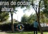 Cómo utilizar tijeras de podar en altura