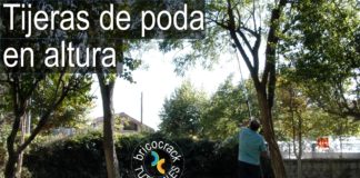 Cómo utilizar tijeras de podar en altura