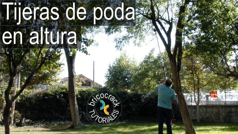 Cómo utilizar tijeras de podar en altura