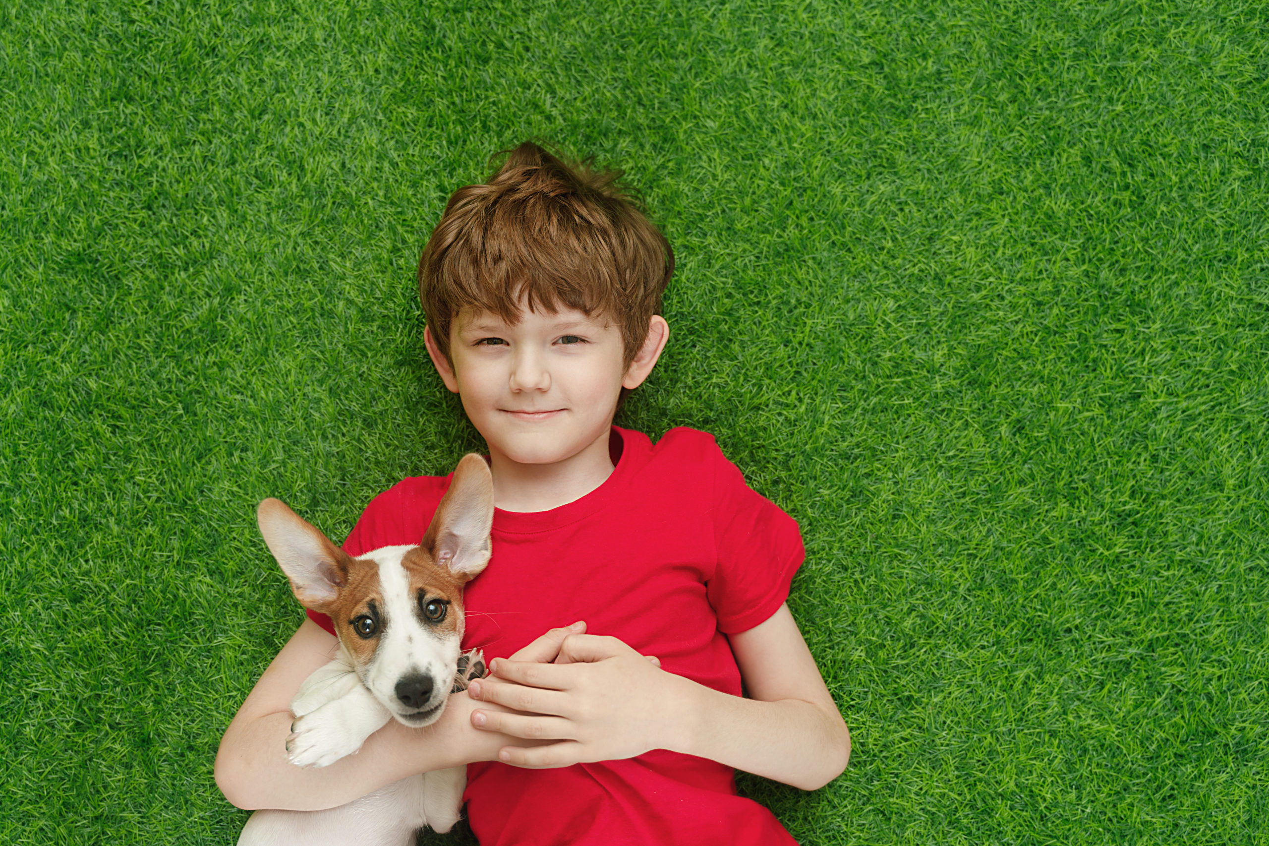 Césped artificial para niños y mascotas